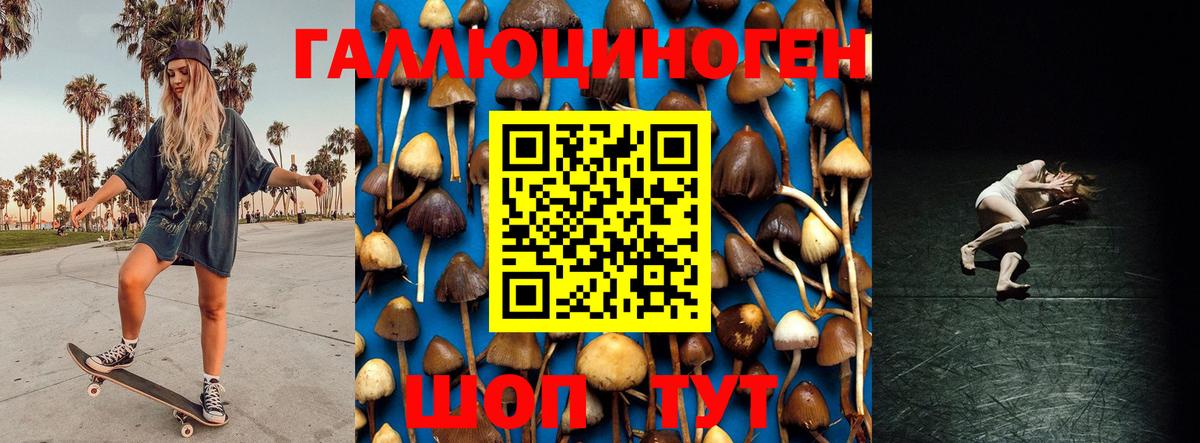 Еманжелинск  Галлюциногенные грибы Magic Shrooms  Вход с VPN  Псилоцибиновые грибы Magic Shrooms 