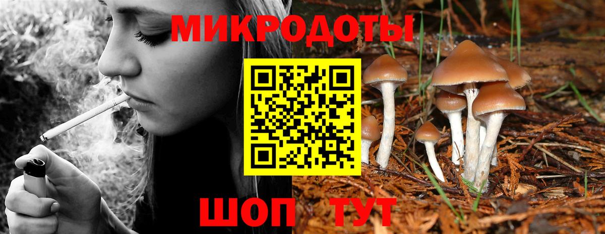 Галлюциногенные грибы Psilocybine cubensis Еманжелинск